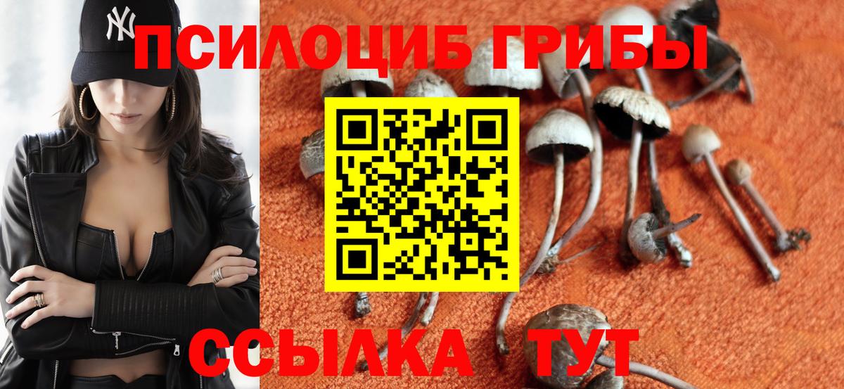 Галлюциногенные грибы Cubensis  Вход с VPN  Мончегорск  Галлюциногенные грибы MAGIC MUSHROOMS 